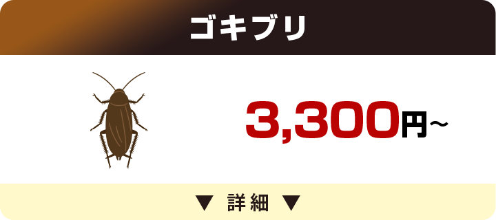 ゴキブリ 3,300円～