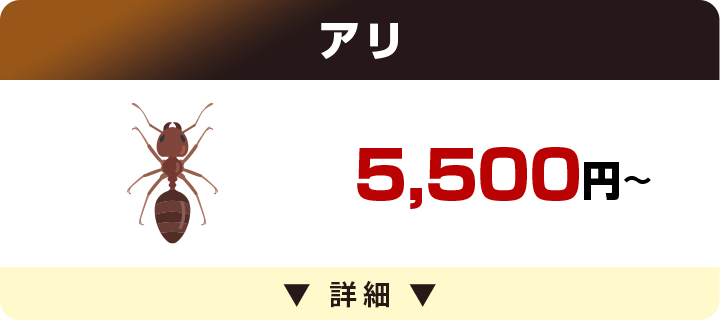 アリ 5,500円～