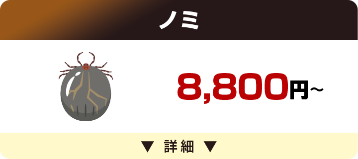 ノミ 8,800円～
