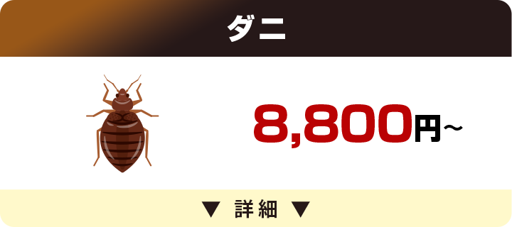 ダニ 8,800円～