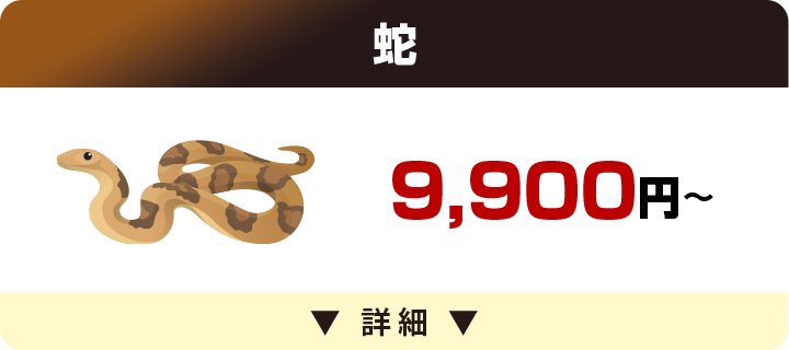 ヘビ 9,900円～
