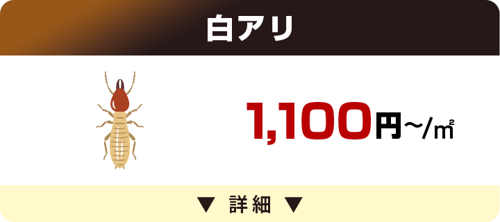 シロアリ 1,100円～