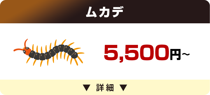 ムカデ 5,500円～