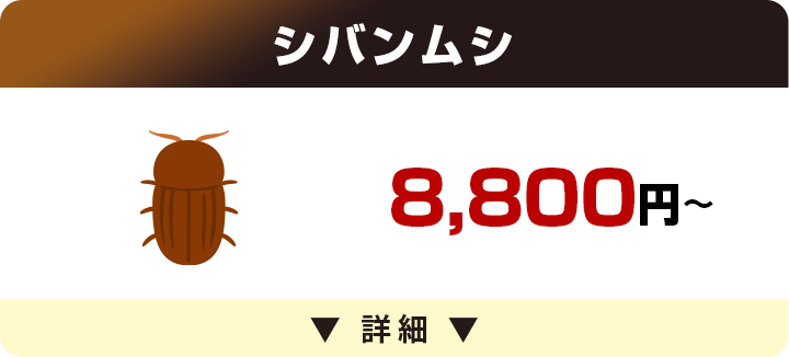 シバンムシ 8,800円～