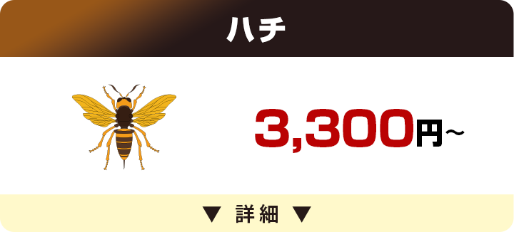 ハチ 3,300円～